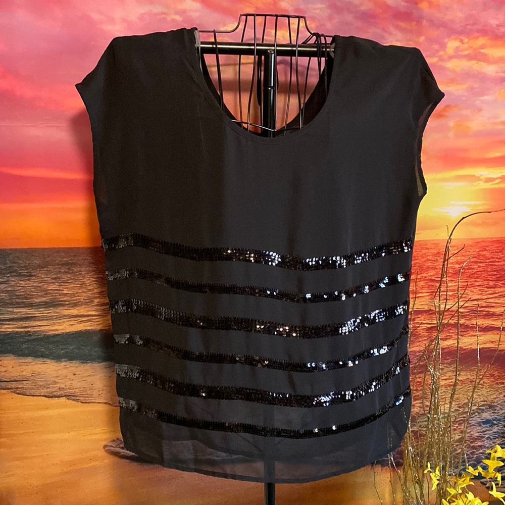 Black sheer blouse top